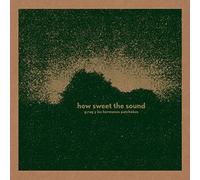 G.Rag Y Los Hermanos Patchekos - How Sweet the Sound