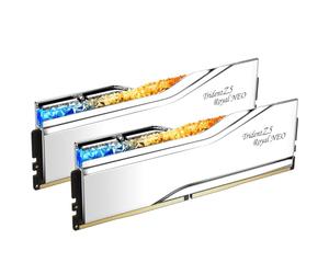 G.SKILL Trident Z5 Royal Neo Series DDR5 RAM (AMD Expo) 96 Go (2 x 48 Go) 6000 MT/s CL30-36-36-96 1,35 V mémoire U-DIMM pour ordinateur de bureau - Argent (F5-6000J3036F48GX2-TR5NS)