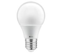 G-TECH Ampoule LED E27 A60, 6W équivalent 43W, 520 lm, 3000K Blanc Chaud, Très Longue Durée de Vie 25000h, Éclairage Économique Non Dimmable, Angle Large 200