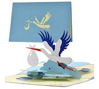 G23.2 Carte de félicitations pour la naissance d'un garçon, avec oiseau Pop Up, cigogne, pour maman et papa, cadeau de naissance