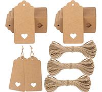 G2PLUS 200PCS Étiquettes Kraft,Étiquette Cadeaux,4.5x9cm Kraft Étiquettes Étiquettes Vierges pour Mariage,Anniversaire,Noël- Avec 30M de Ficelle de Jute(Marron)