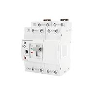 G2R Din Rail ATS Automatic Transfer Switch Electrical Selector Switches Dual Power Switch Din Rail 2P 4P 220V BIANMTSW(G2R 4P 25A)