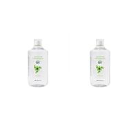 G5 Silicium Organique MMST complément alimentaire sans conservateur Solution Orale 2x1000 ml