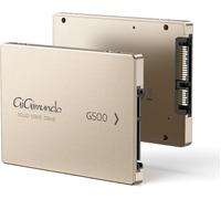 G500 2.5 Inch Solid State Drive 256GB SATA III with Lightweight Aluminum Shell Fast Internal SSD for Laptop PC High Read and Write Speed Rose Gold