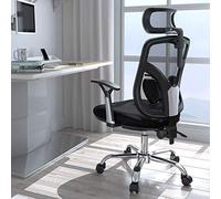 GAAHRQQQ Chaise d'ordinateur ergonomique en maille respirante, chaise de bureau, chaise de conférence, chaise pivotante à la maison, relevable, coulissante (couleur : B)