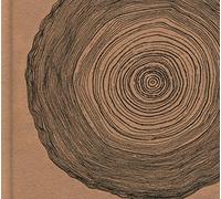 Eskimeaux Year of the Rabbit (CD) Deluxe Album