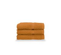 Gabel Lot de 3 Serviettes d'invité en Pur Coton hydrophile, 40 x 60 cm, brûlé,