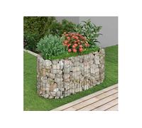 vidaXL Lit Surélevé à Gabion Parterre de Fleurs Support de Plante Jardinière Pot de Fleurs Jardin Terrasse Extérieur Fer 152024