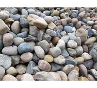 GABIONA - Pierres gabions - 1000 kg de galets de mer du Nord Ø 60-80 mm - À remplir pour gabions avec maillage jusqu'à 5 x 10 cm