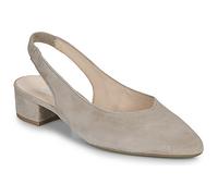 Gabor Ballerines 4152012 in Beige 39