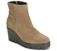 Gabor Bottines 8045 in Marron 43