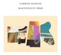 Gabriel Kahane - Magnificent Bird [Vinyl]