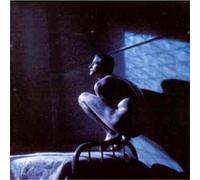 Gabriel, Peter - Birdy