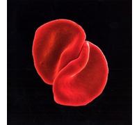 Peter Gabriel – Scratch My Back – CD – Import – Virgin Mobile