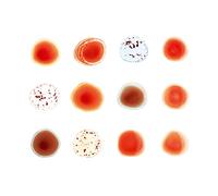 Gabriel, Peter - Scratch My Back [Import]