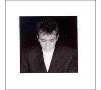 Gabriel, Peter - Shaking The Tree