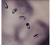 Gabriel Peter - Up [Import]