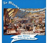 Gabriel,Wiga - en Leben Für Die Musik [Import]