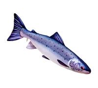 Gaby Coussin Moyen Saumon Atlantique