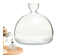 Gacqpli Vase À Avocat - Vase À Plant en Verre, Vase De Plantation pour GrainesD'avocat, Verre De Germination De Haute Qualité, Vase Hydroponique pour Usage Intérieur Et Extérieur