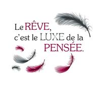 Gadget et Bazar Autocollant Mural Le rêve C'est Le Luxe de la pensée