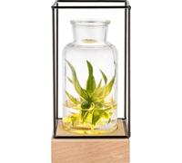 Gadgy Vase en Verre Transparant avec Lumière, Décoratif Transparent Base Bois Naturel, Cadre Métal 22.5 X 10.8, Decoration Maison