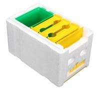 Gadpiparty Boîte à Abeilles en Plastique et Écume pour Élevage et Fécondation des Abeilles, Facile à Transporter, pour Apiculture et Reproduction des Reines