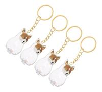 Gadpiparty Boîte à Souvenirs pour Poils d'animaux 4pcs en Abs Porte-clés Transparent, Rangement Polyvalent pour Usage Quotidien et Décoration de Paquet Unique