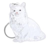 Gadpiparty Boîte à Souvenirs Transparente pour Poils de Chat en Abs, Porte-clés Commémoratif Portable et Créatif de Chat pour Usage Quotidien
