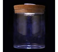 Gadpiparty Bouteille Cylindrique Couvercle en Bois en Verre Borosilicate pour Décoration Intérieure et Arrangement Floral, pour Micro Paysages et Éclairage LED