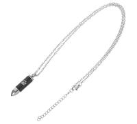 Gadpiparty Collier Urne Crémation pour Cendres de Chien Pendentif Inoxydable à de Patte Commémoratif Minimaliste pour Femmes Souvenir Funéraire Animal de Compagnie