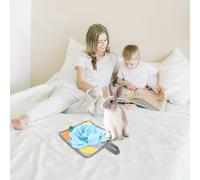 Gadpiparty Lot de 2 Tapis Olfactifs pour Lapins en Polaire Coussins D’Alimentation Lente Verts et Bleus Jouets D’Animation pour Animaux de Compagnie Stimulation de L’Odorat et Gestion du