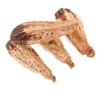 Gadpiparty Lot de 4 Jouets à Mâcher Naturels pour Perroquets Accessoires à Mâcher en Matériaux Sains Déchiqueteur pour Oiseaux pour Cage et Stimulation Mentale des Perroquets