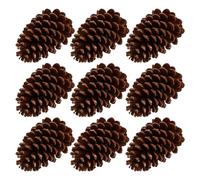 Gadpiparty Lot de 9 grandes pommes de pin séchées marron naturel pour projets de bricolage et boules de décoration d'intérieur pour créer une atmosphère chic et vive