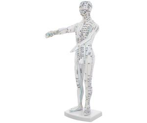 Gadpiparty Modèle Corporel d'Acupuncture Masculin Résistant Blanc en Plastique pour Pratique des Points d'Acupuncture en Cabinet et Cours