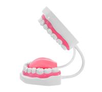 Gadpiparty Modèle Pédagogique Bouche 6 Fois Agrandi en Plastique Blanc, Modèle de Dents Humaines pour Démonstration D’hygiène Bucco-, Accessoire D’étude et Nettoyage pour Formation