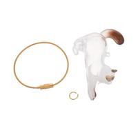 Gadpiparty Porte-Clés Souvenir Transparent pour Poils de Chat de Capsule Boîte de Rangement Compacte pour Moustaches D’Animaux Flacon Portable pour Collection et Souvenirs D’Animaux