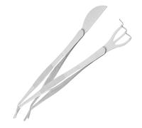 Gadpiparty Set de Pinces de Précision en Acier Inoxydable avec Râteau et Spatule Incurvés Outils Multifonctions pour Entretien Bonsaï et Petits Pots