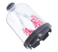 Gadpiparty Simulation du Mouvement Respiratoire Pulmonaire Modèle de Poumon Humain Transparent pour Enseignement Sciences Etudiants