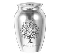 Gadpiparty Urne pour Animaux de Compagnie Aluminium Argenté Petite Urne Funéraire pour Cendres de Chiens et Chats Coffret Mémoire avec Couvercle Étanche et Robuste