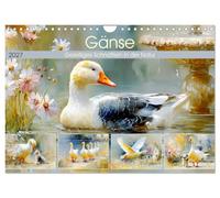 Gänse. Geselliges Schnattern in der Natur (Wandkalender 2027 DIN A4 quer), CALVENDO Monatskalender: Malerische Bilder voller ruhiger Naturmomente mit charmanten Gänsen