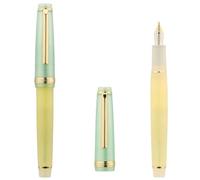 GAFNED Stylo plume poli à la main avec pointe modifiée Little Prince pour pratique de la calligraphie (Q)