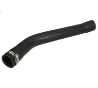 Gaine de suralimentation GATES 09-1596 pour FIAT PANDA (169_) 1.3 2006-2013