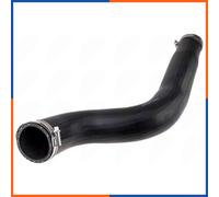 Gaine de suralimentation pour JEEP | 5481FB0021805, 37289, 79617, 776497, 961172