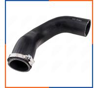 NTY GPP-WW-201 Durite de turbo