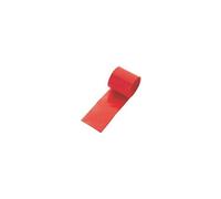 Gaine thermorétractable pour batteries sans colle 2:1 Conrad Components 93014c89d rouge Ø avant retreint: 55 mm 1 pc(s) Rouge G