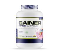 Gainer Mass Formula - 3 Kg Fraise De Mm Supplements Fraise