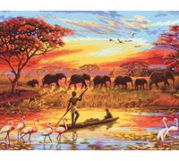 Gaira Painting by Numbers Afrique