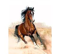 Gaira Peinture par numéros Cheval au galop