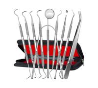 GAJUS Coffret soins dentaires 10 PCS, kit nettoyage dentaire professionnel en acier inoxydable avec détartreur, sonde dentaire, miroir buccal et couverts pour éliminer tartre et plaque dentaire